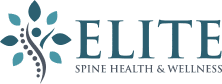 A black background with the word " elite " written in blue.